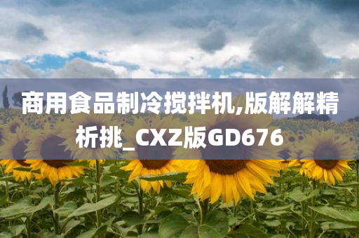 商用食品制冷搅拌机,版解解精析挑_CXZ版GD676