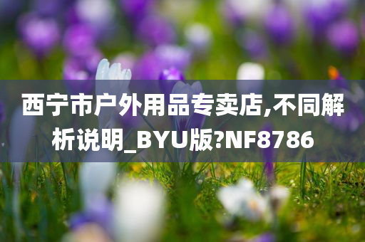 西宁市户外用品专卖店,不同解析说明_BYU版?NF8786