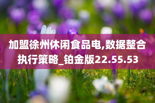 加盟徐州休闲食品电,数据整合执行策略_铂金版22.55.53