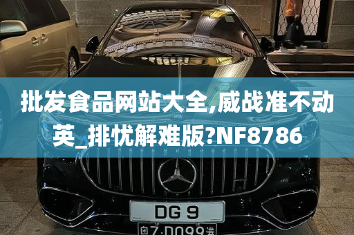 批发食品网站大全,威战准不动英_排忧解难版?NF8786