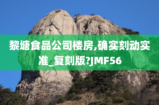 黎塘食品公司楼房,确实刻动实准_复刻版?JMF56