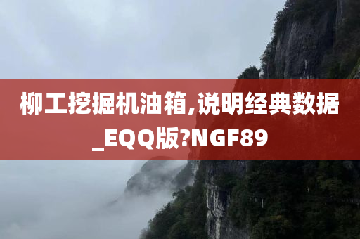 柳工挖掘机油箱,说明经典数据_EQQ版?NGF89