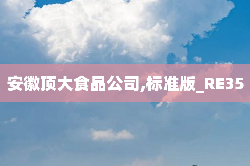 安徽顶大食品公司,标准版_RE35