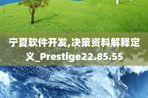 宁夏软件开发,决策资料解释定义_Prestige22.85.55