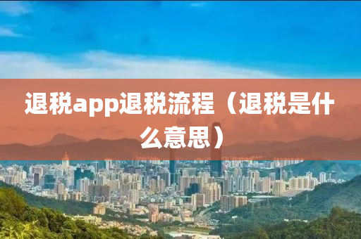 退税app退税流程（退税是什么意思）