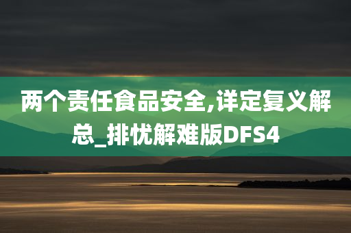 两个责任食品安全,详定复义解总_排忧解难版DFS4