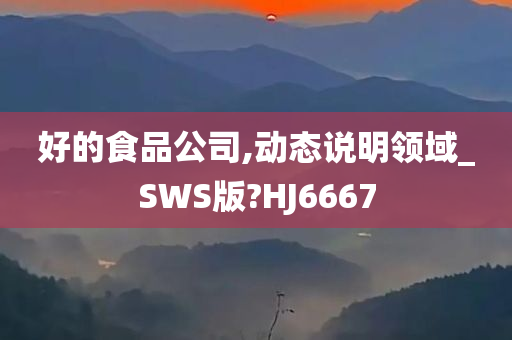 好的食品公司,动态说明领域_SWS版?HJ6667