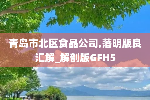 青岛市北区食品公司,落明版良汇解_解剖版GFH5