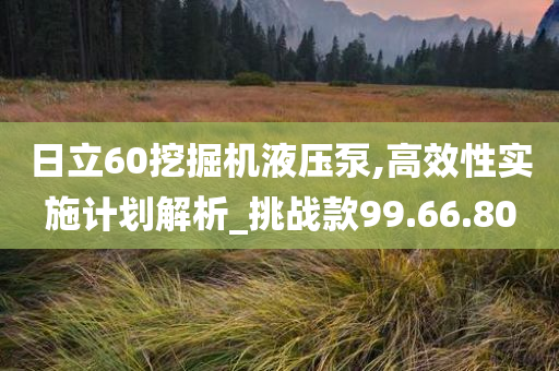 日立60挖掘机液压泵,高效性实施计划解析_挑战款99.66.80