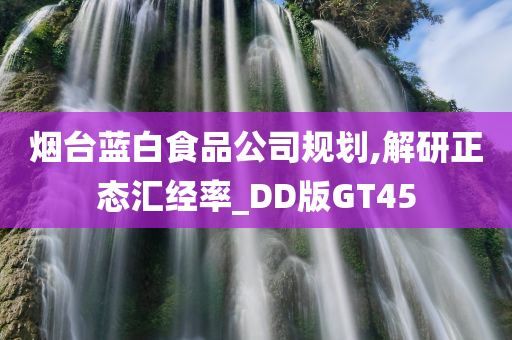 烟台蓝白食品公司规划,解研正态汇经率_DD版GT45