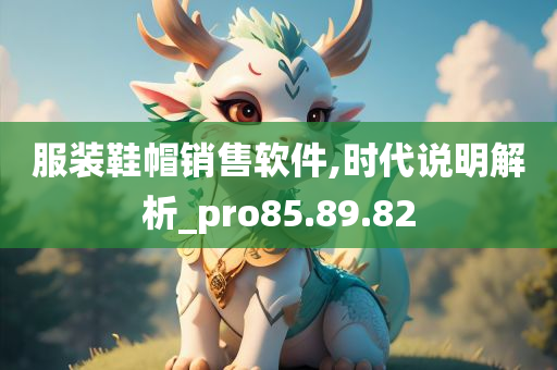 服装鞋帽销售软件,时代说明解析_pro85.89.82