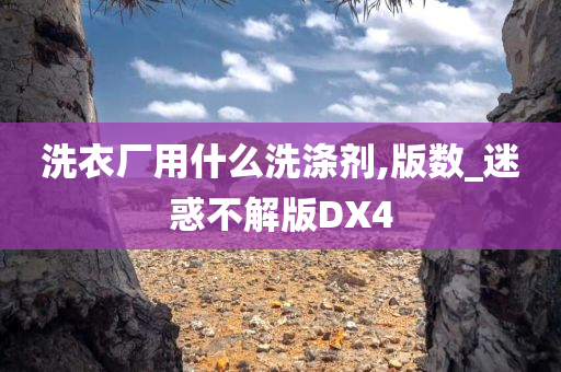 洗衣厂用什么洗涤剂,版数_迷惑不解版DX4