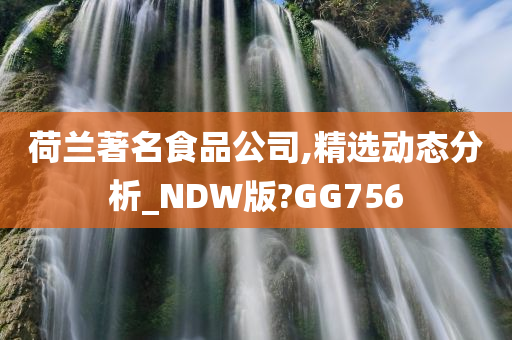 荷兰著名食品公司,精选动态分析_NDW版?GG756