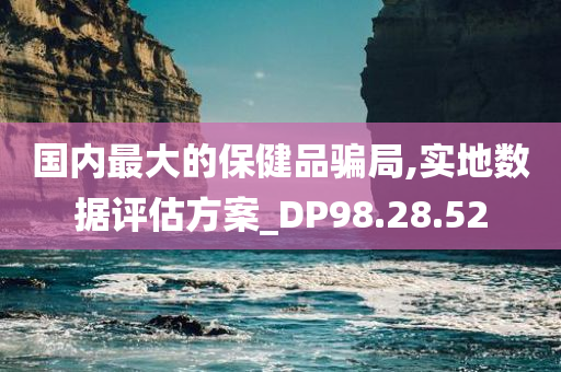 国内最大的保健品骗局,实地数据评估方案_DP98.28.52