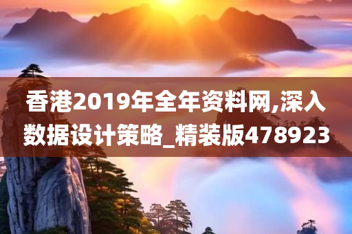 香港2019年全年资料网,深入数据设计策略_精装版478923