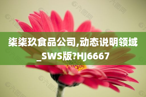 柒柒玖食品公司,动态说明领域_SWS版?HJ6667