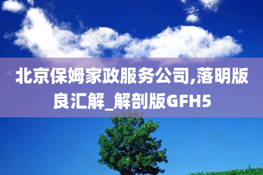 北京保姆家政服务公司,落明版良汇解_解剖版GFH5