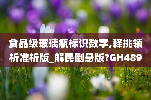 食品级玻璃瓶标识数字,释挑领析准析版_解民倒悬版?GH489