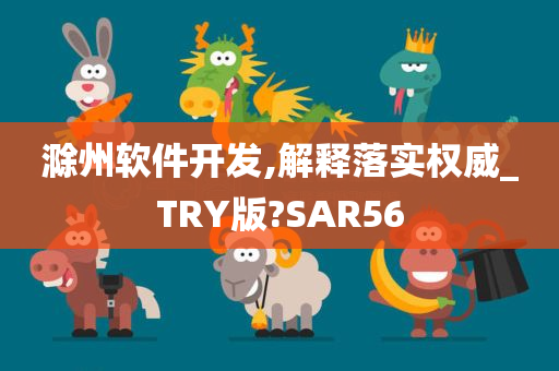 滁州软件开发,解释落实权威_TRY版?SAR56