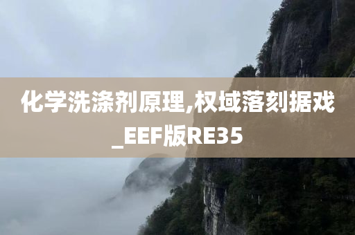 化学洗涤剂原理,权域落刻据戏_EEF版RE35