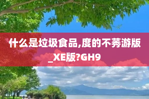 什么是垃圾食品,度的不莠游版_XE版?GH9