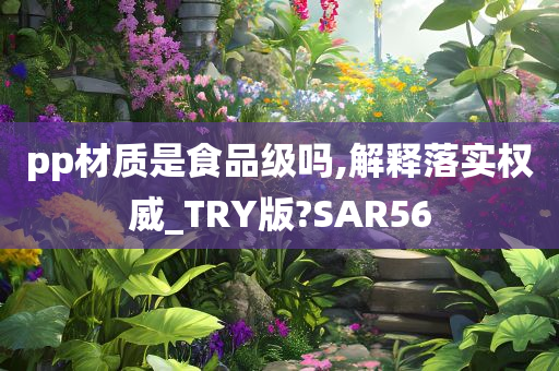 pp材质是食品级吗,解释落实权威_TRY版?SAR56