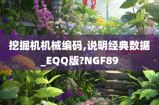 挖掘机机械编码,说明经典数据_EQQ版?NGF89