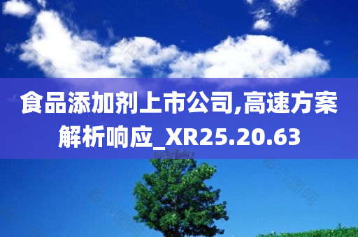 食品添加剂上市公司,高速方案解析响应_XR25.20.63