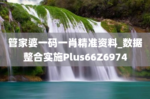 管家婆一码一肖精准资料_数据整合实施Plus66Z6974