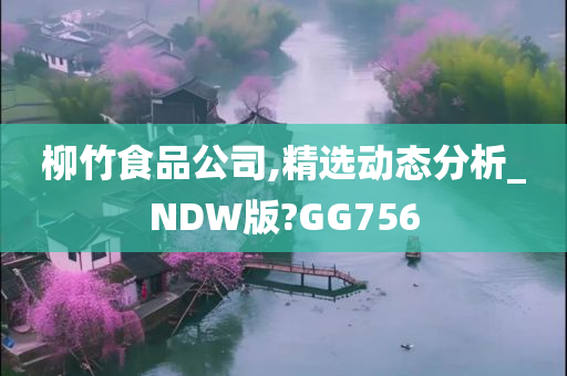 柳竹食品公司,精选动态分析_NDW版?GG756