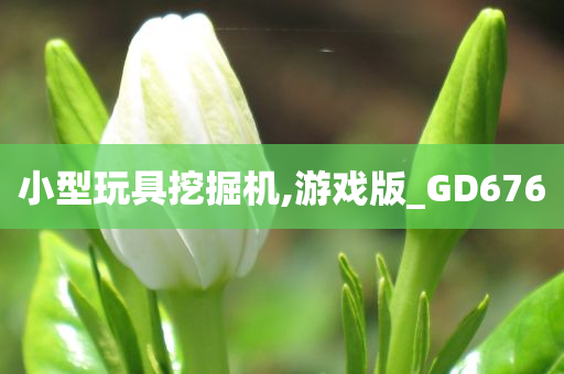 小型玩具挖掘机,游戏版_GD676