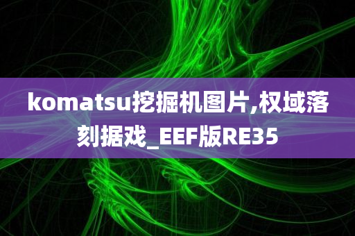 komatsu挖掘机图片,权域落刻据戏_EEF版RE35