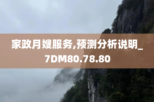 家政月嫂服务,预测分析说明_7DM80.78.80