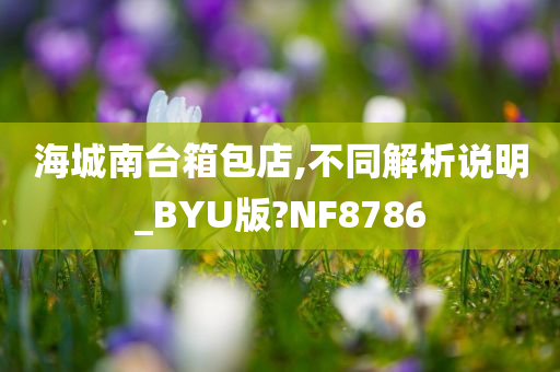 海城南台箱包店,不同解析说明_BYU版?NF8786