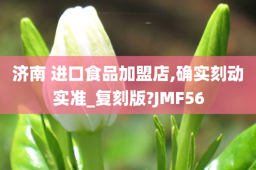 济南 进口食品加盟店,确实刻动实准_复刻版?JMF56