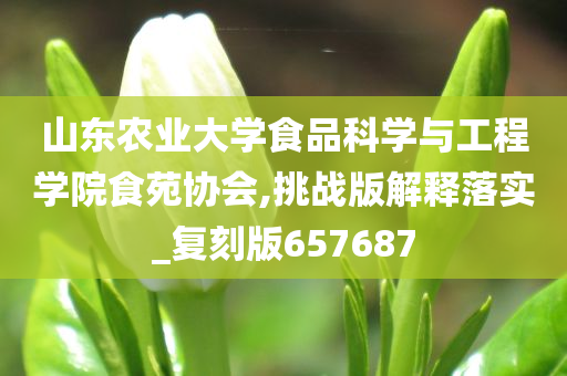 山东农业大学食品科学与工程学院食苑协会,挑战版解释落实_复刻版657687