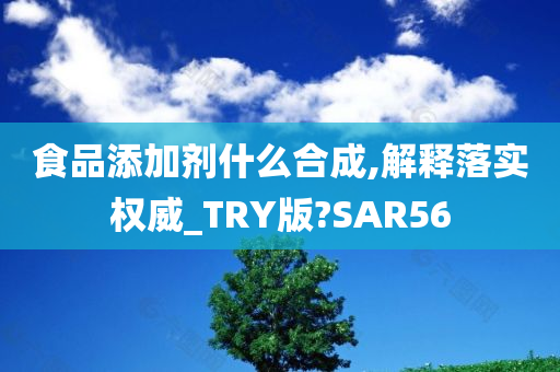 食品添加剂什么合成,解释落实权威_TRY版?SAR56