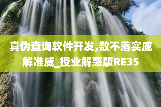 真伪查询软件开发,数不落实威解准威_授业解惑版RE35