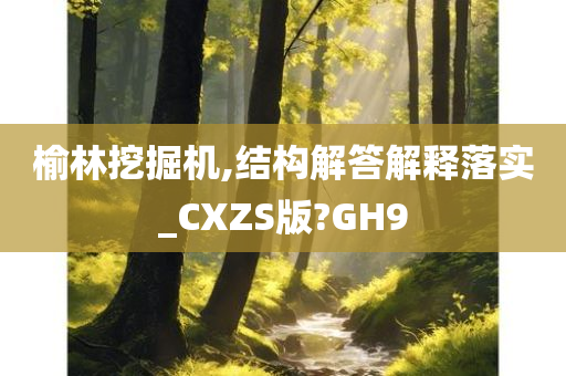 榆林挖掘机,结构解答解释落实_CXZS版?GH9