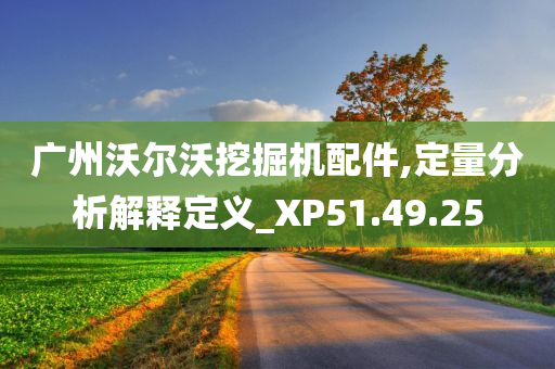 广州沃尔沃挖掘机配件,定量分析解释定义_XP51.49.25