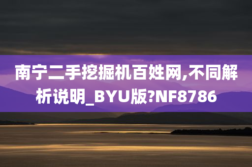 南宁二手挖掘机百姓网,不同解析说明_BYU版?NF8786