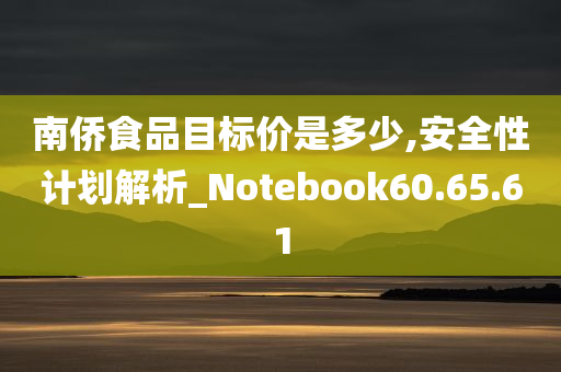 南侨食品目标价是多少,安全性计划解析_Notebook60.65.61