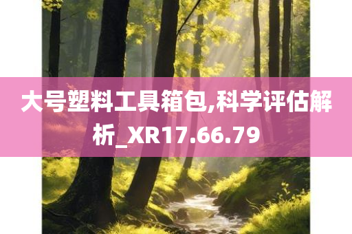 大号塑料工具箱包,科学评估解析_XR17.66.79