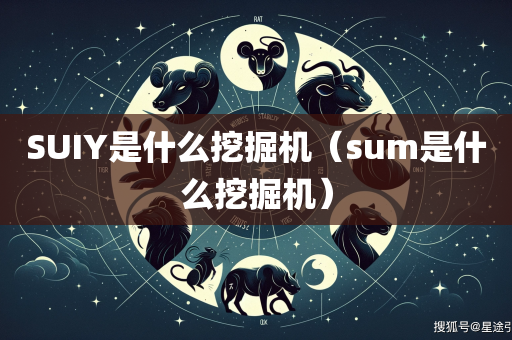 SUIY是什么挖掘机（sum是什么挖掘机）