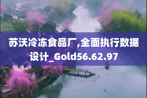 苏沃冷冻食品厂,全面执行数据设计_Gold56.62.97