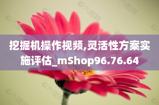 挖掘机操作视频,灵活性方案实施评估_mShop96.76.64