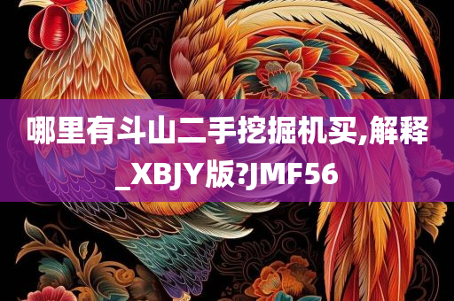 哪里有斗山二手挖掘机买,解释_XBJY版?JMF56