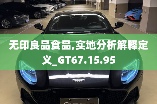 无印良品食品,实地分析解释定义_GT67.15.95