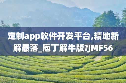 定制app软件开发平台,精地新解最落_庖丁解牛版?JMF56