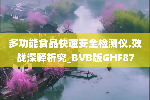 多功能食品快速安全检测仪,效战深释析究_BVB版GHF87